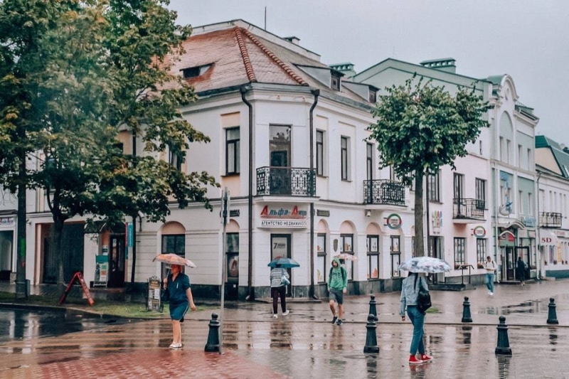 Как доехать в Беловежскую пущу из Бреста, Минска и Гродно? | Блог Антона Бородачёва